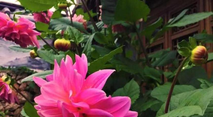 Lijiang Baisha Holiday Resort エクステリア 写真