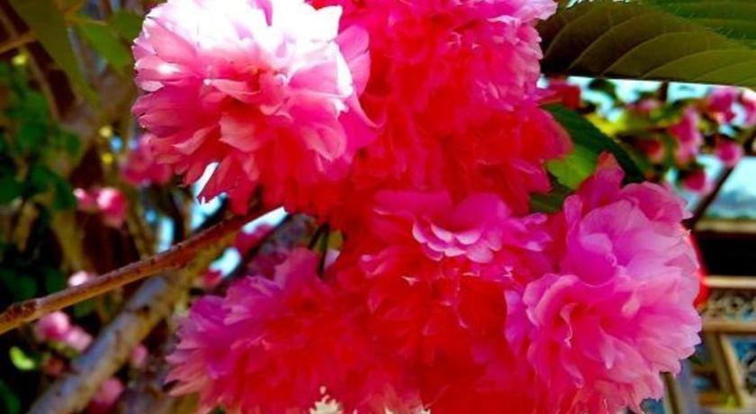 Lijiang Baisha Holiday Resort エクステリア 写真