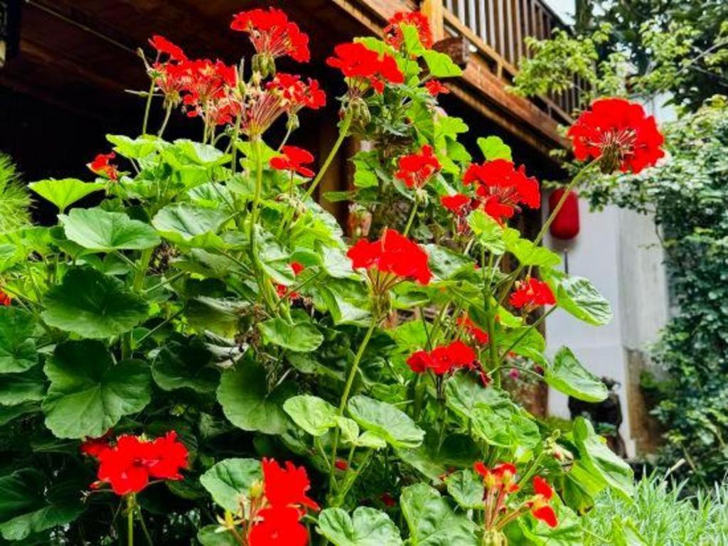 Lijiang Baisha Holiday Resort エクステリア 写真